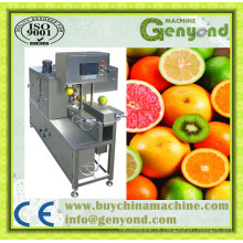 Automatica Fruit and Vegetables Peeling Machine